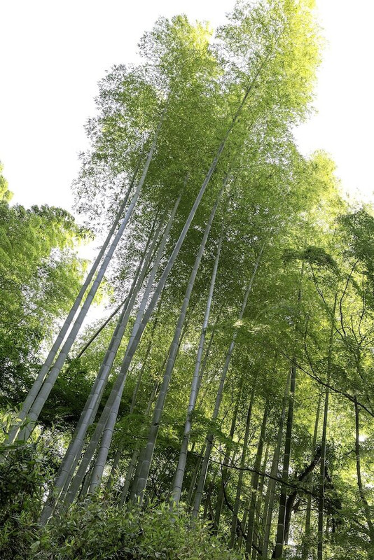 施設からの眺望