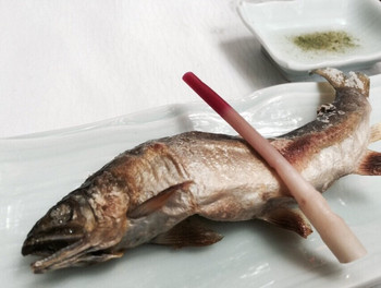 「貴船 右源太」料理 1133227 