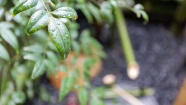 施設からの眺望 / 17