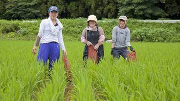 マウンテン ビュー / 38