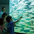 琵琶湖周辺の子連れにおすすめホテル・旅館11選。ファミリーで楽しもう！／滋賀