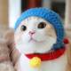 tom_tom_chiakiさん