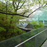 アートと自然を満喫する箱根観光。おすすめスポット10選