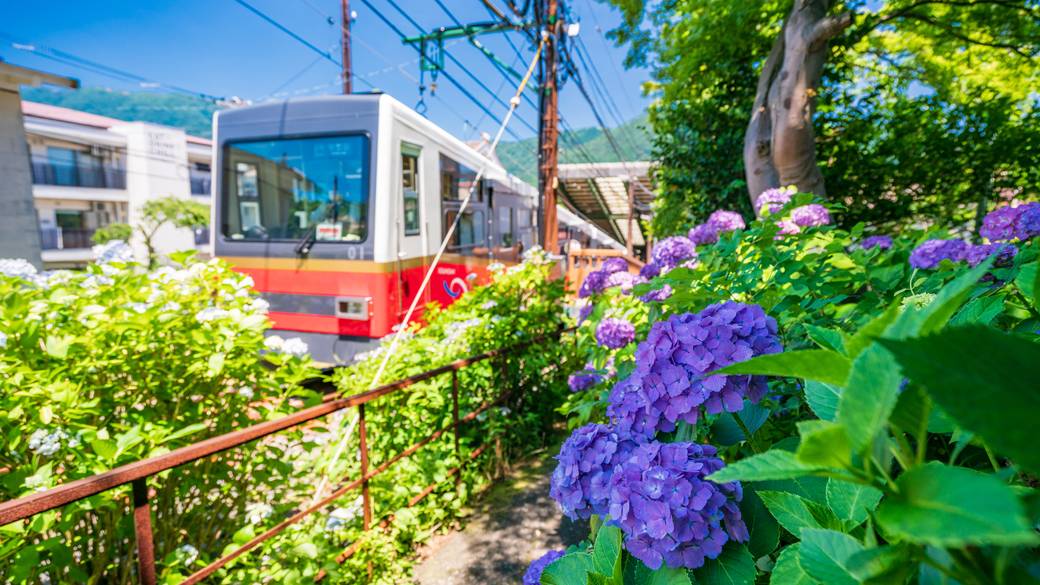 箱根登山電車 / 1