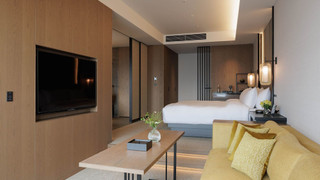 プレミア ルーム キングベッド 1 台 禁煙 パークビュー (Balcony)