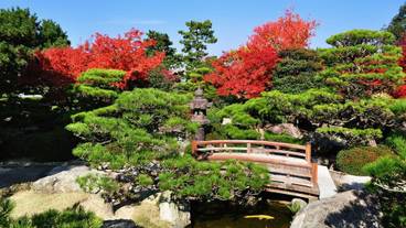 観光スポット / 18