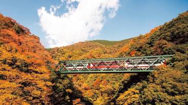 シティ ビュー / 38