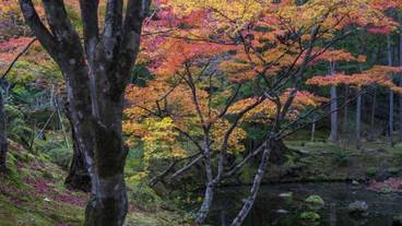 施設の敷地 / 11