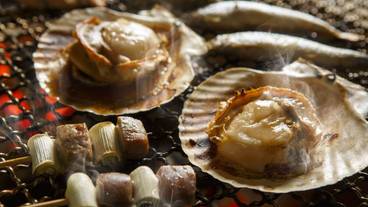 HAKODATE 海峡の風（ハコダテ ウミノカゼ） / 1