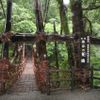 【徳島の秘境紹介！】祖谷のかずら橋と奥祖谷二重かずら橋