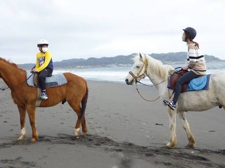 ペンション フローラ / 4