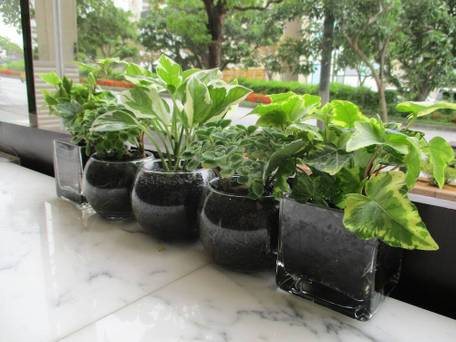 東横イン那覇おもろまち駅前 / 2