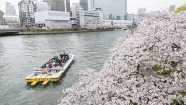 観光スポット / 18