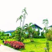 リブマックスアムス カンナリゾートヴィラ(沖縄県 リゾートホテル) / 5