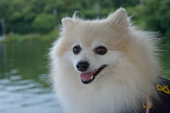 一碧湖（いっぺきこ）646672
