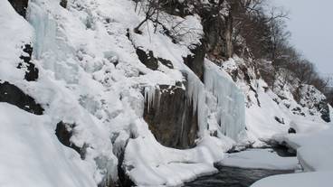 ランド ビュー / 21