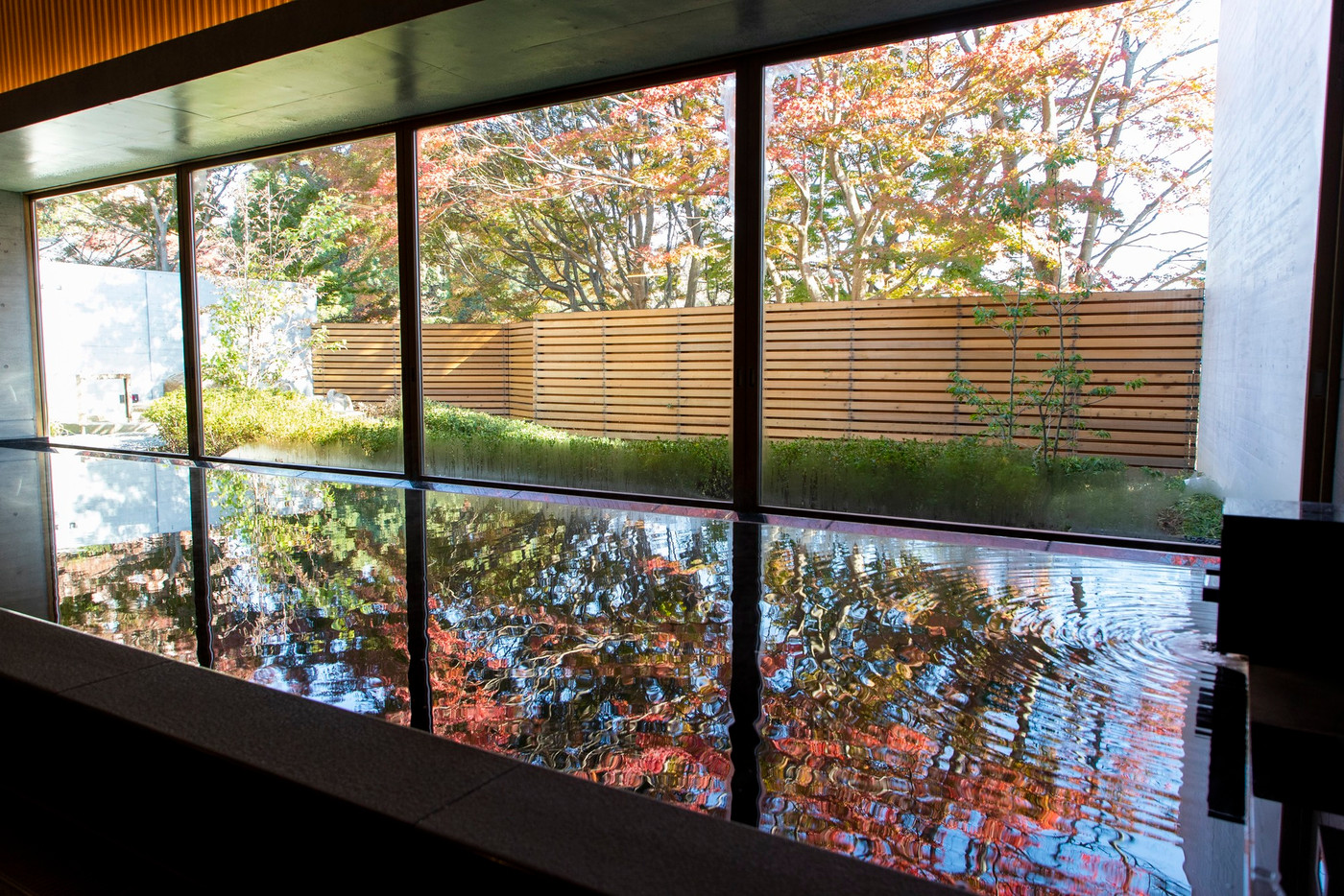 天然温泉で心ゆくまでリフレッシュ4248435