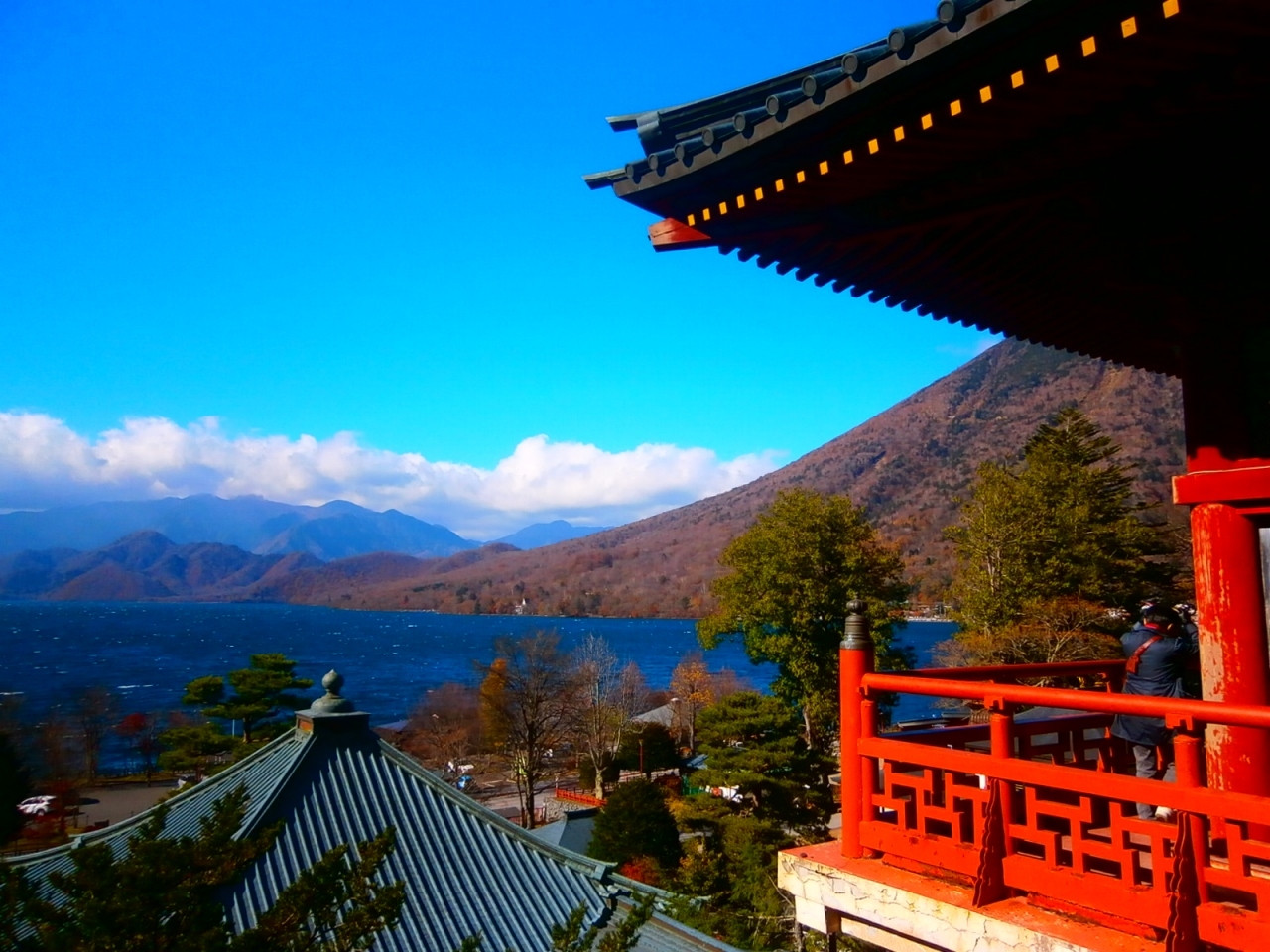 地に根を張る観音様や絶景に驚く「日光山中禅寺立木観音」3714124