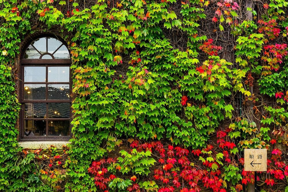 ノスタルジックな雰囲気の中、お泊りしながらタイムスリップ♩4244502