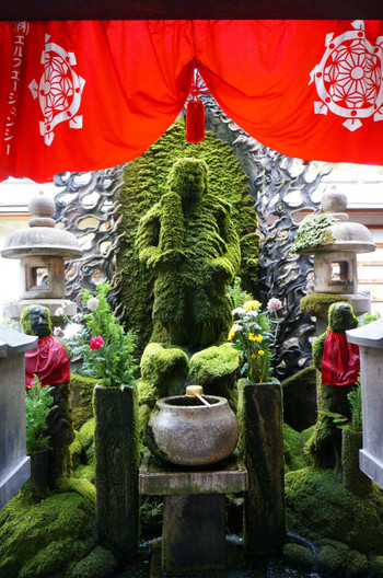 ６．縁結び以外にもお願いごとしちゃう？「法善寺」2146729