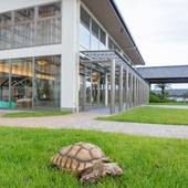 木更津温泉 龍宮城スパ・ホテル三日月 龍宮亭（千葉県 リゾートホテル） / 4