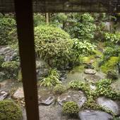 宮津温泉 料理旅館 茶六別館（京都府 旅館） / 4