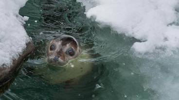 フィットネス設備 / 5