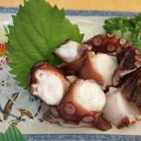 おさかな倶楽部（オサカナクラブ）