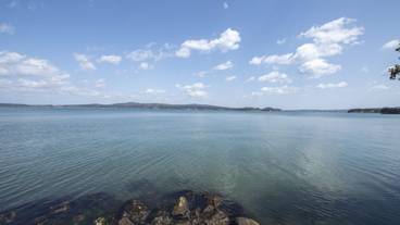 ビーチ / オーシャン ビュー / 10