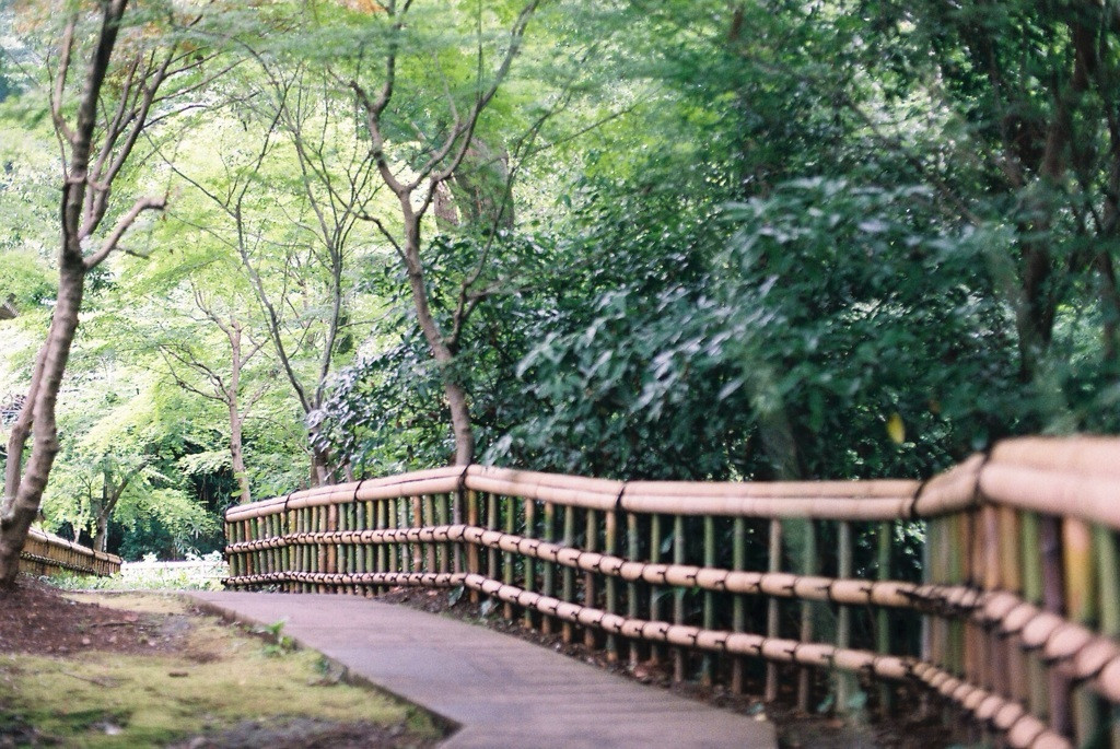開山堂1018283