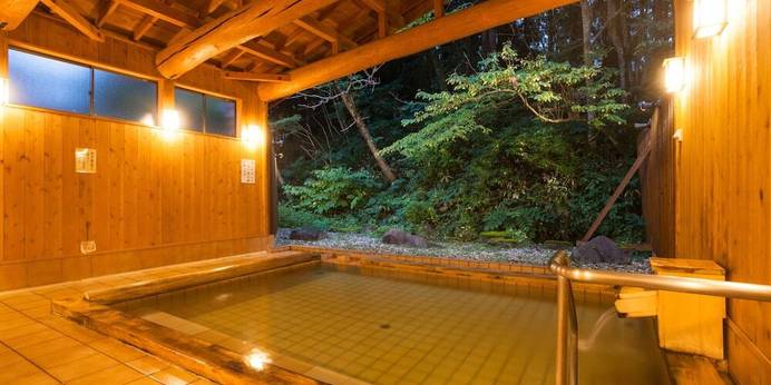 三国峠温泉 御宿 本陣（新潟県 旅館） / 1