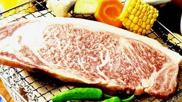 レストラン / 14