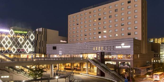 ホテルテラスザガーデン水戸(茨城県 ビジネスホテル) / 1