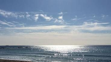 施設からの眺望 / 12