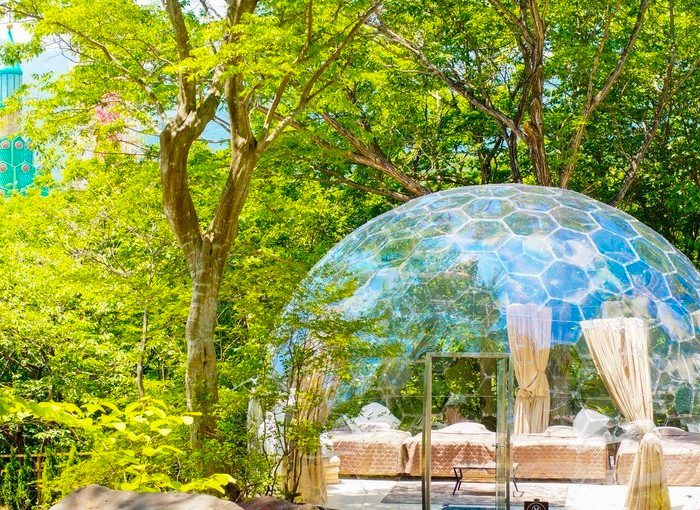 透明な半球が印象的な“AURA（アウラ）”タイプの客室。まるで森の中に浮かぶシャボン玉です