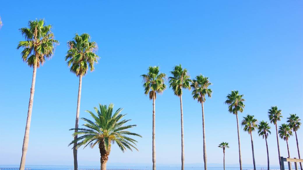 海と空と花がきれい！
淡路島で癒しの旅 / 3