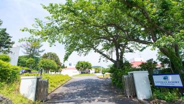 施設の敷地 / 30