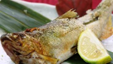 食事・飲み物 / 9