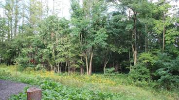 施設からの眺望 / 11