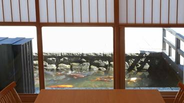 ウォーター ビュー / 10