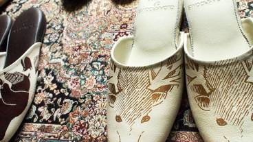 客室の設備とサービス / 13