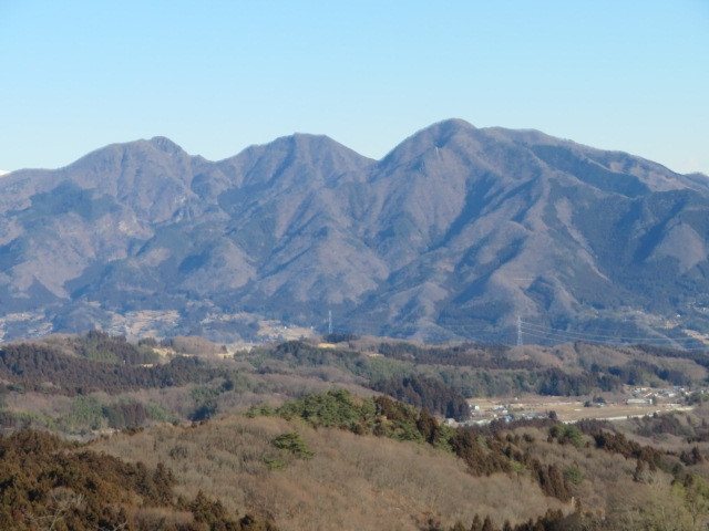 客室からの眺め