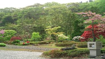 ランド ビュー / 10