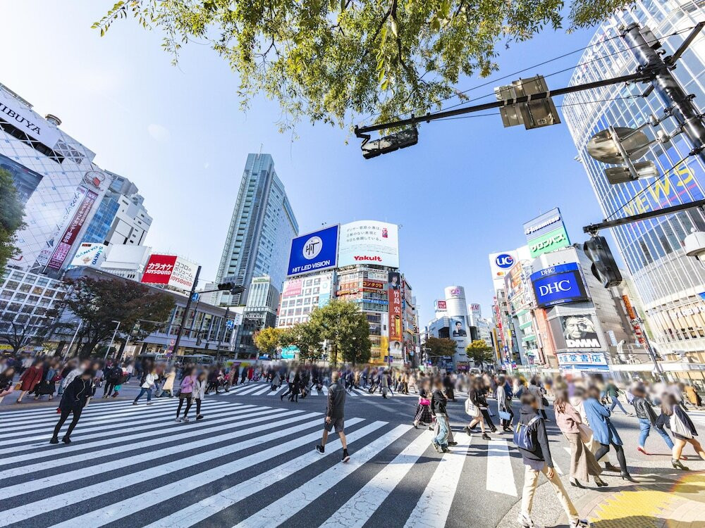 ランド ビュー