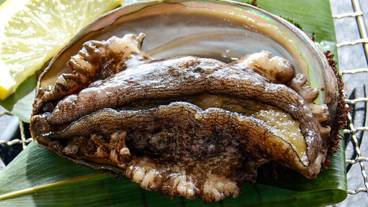 食事・飲み物 / 6