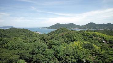 施設からの眺望 / 26