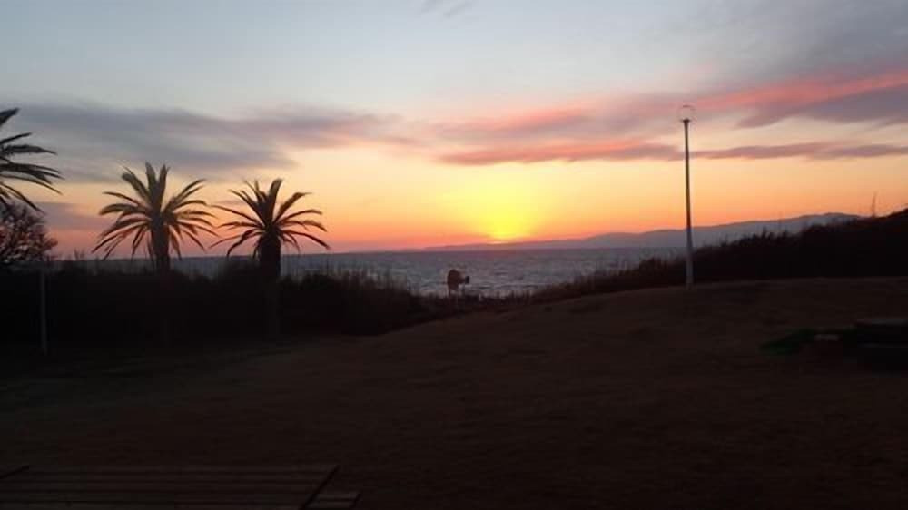 施設からの眺望