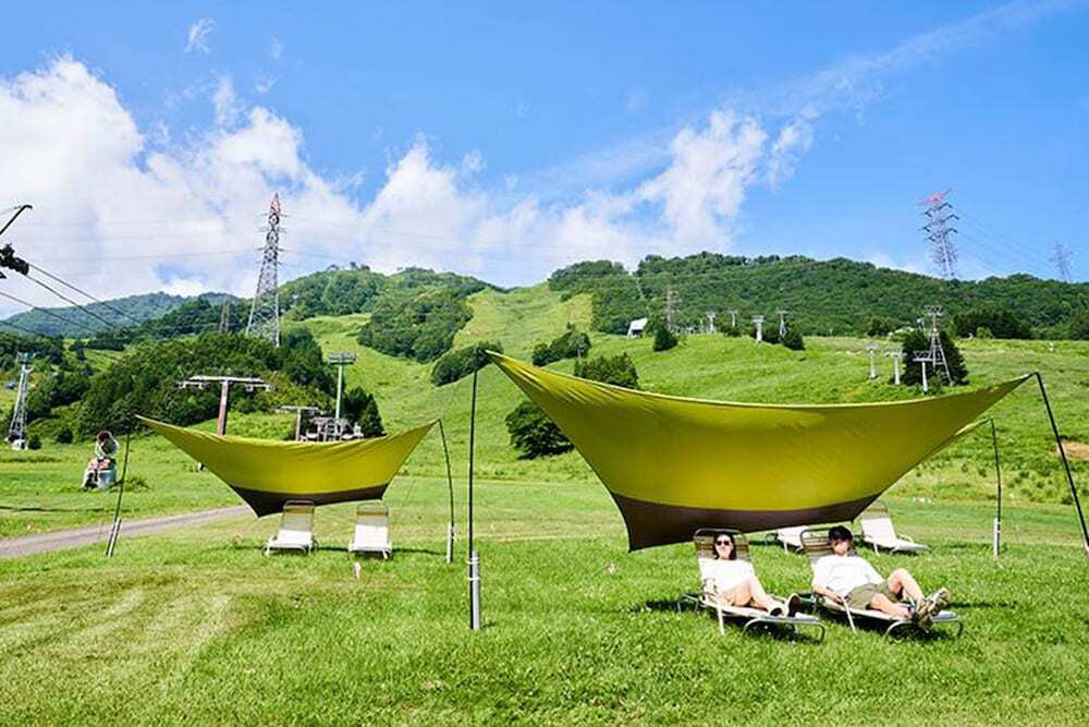 バーベキュー / ピクニック エリア