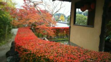 施設からの眺望 / 10