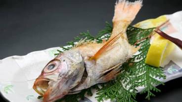 別注料理・のどぐろ / 4